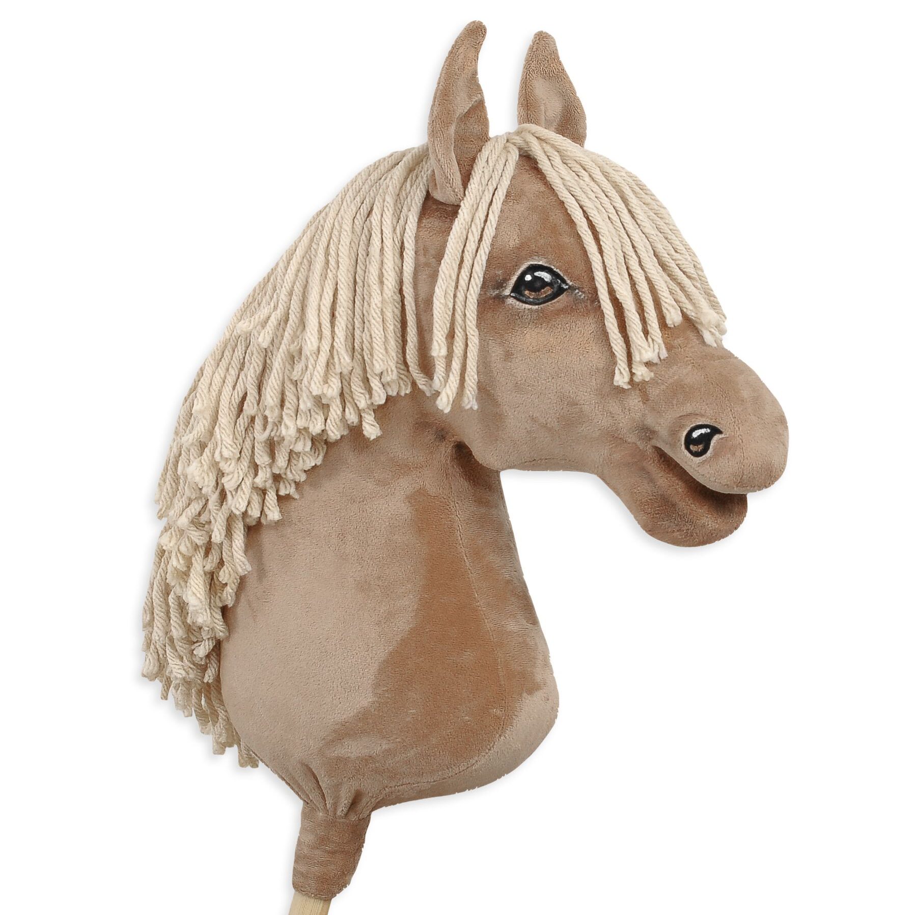 hobby horse